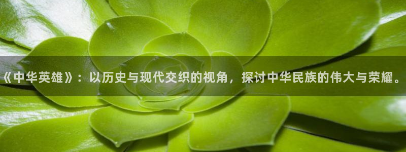 漫蛙3入口：《中华英雄》：以历史与现代交织的视角，探讨中华民族的伟大与荣耀。