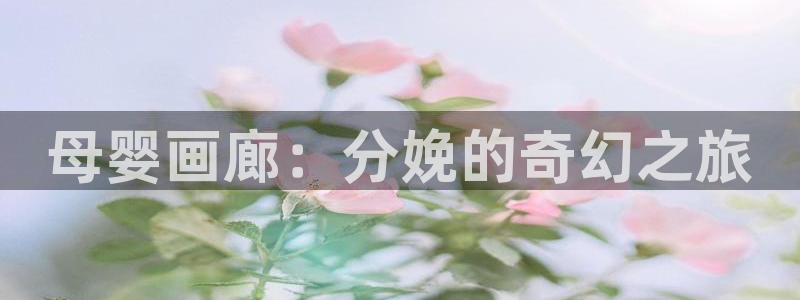 漫蛙官网官方入口：母婴画廊：分娩的奇幻之旅