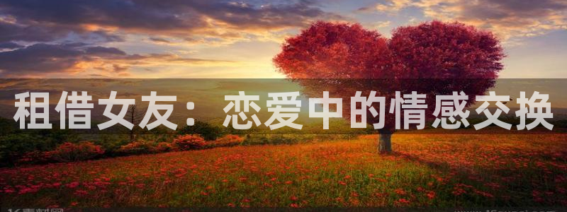 漫蛙2是什么软件：租借女友：恋爱中的情感交换
