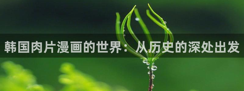 漫蛙平台：韩国肉片漫画的世界：从历史的深处出发