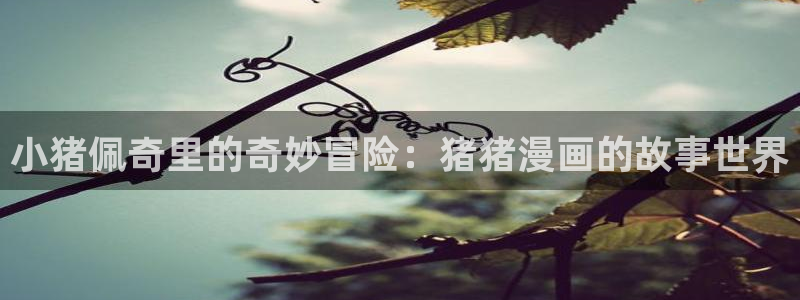 漫蛙2英文版：小猪佩奇里的奇妙冒险：猪猪漫画的故事世界