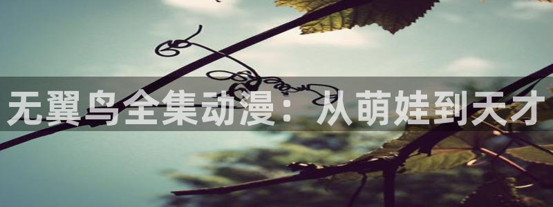 漫蛙怎么找：无翼鸟全集动漫：从萌娃到天才