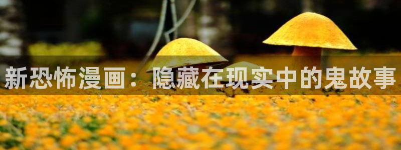 漫蛙无删减版怎么下载：新恐怖漫画：隐藏在现实中的鬼故事