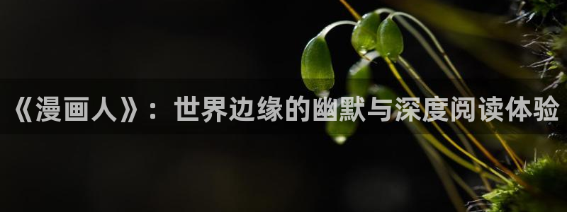 漫蛙官网网站：《漫画人》：世界边缘的幽默与深度阅读体验