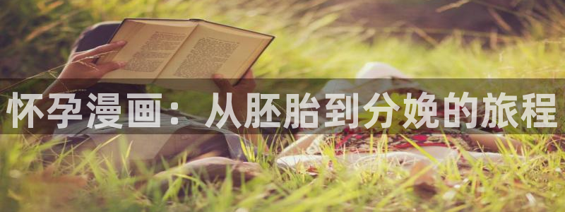 漫蛙免费入口：怀孕漫画：从胚胎到分娩的旅程