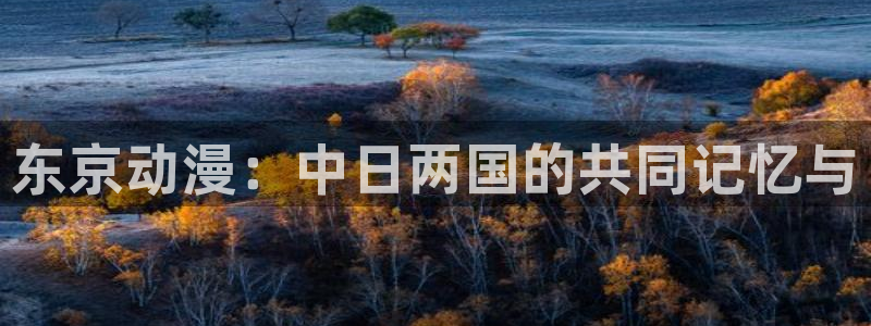 漫蛙2app正版官网：东京动漫：中日两国的共同记忆与