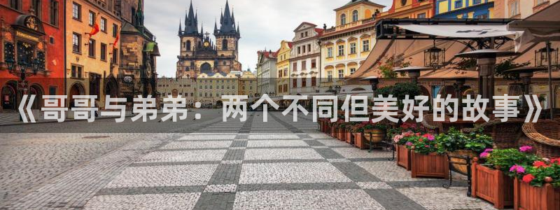 漫蛙防走失站地址：《哥哥与弟弟：两个不同但美好的故事》
