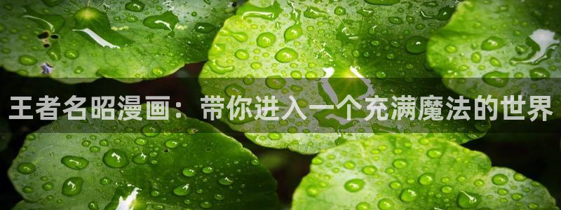 漫蛙漫画最火最热最狂漫画入口：王者名昭漫画：带你进入一个充满魔法的世界