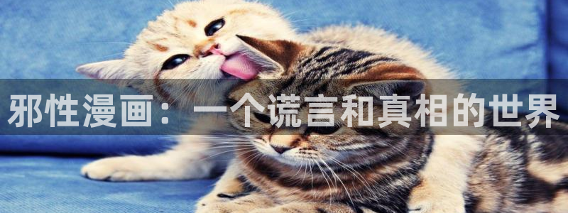 漫蛙网页版入口官方：邪性漫画：一个谎言和真相的世界